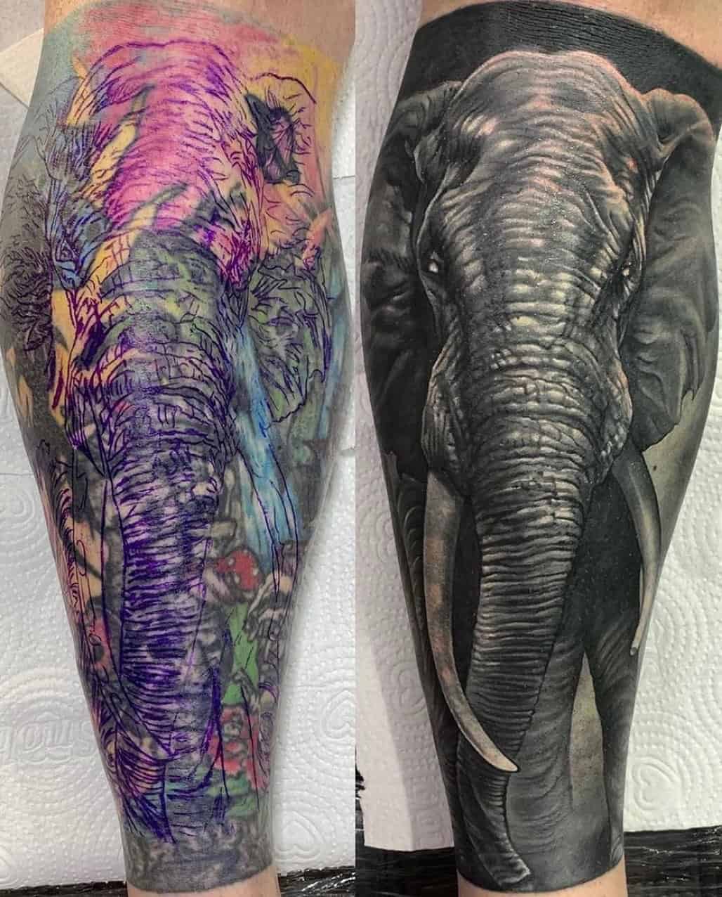 Realistic Elephant Tattoo