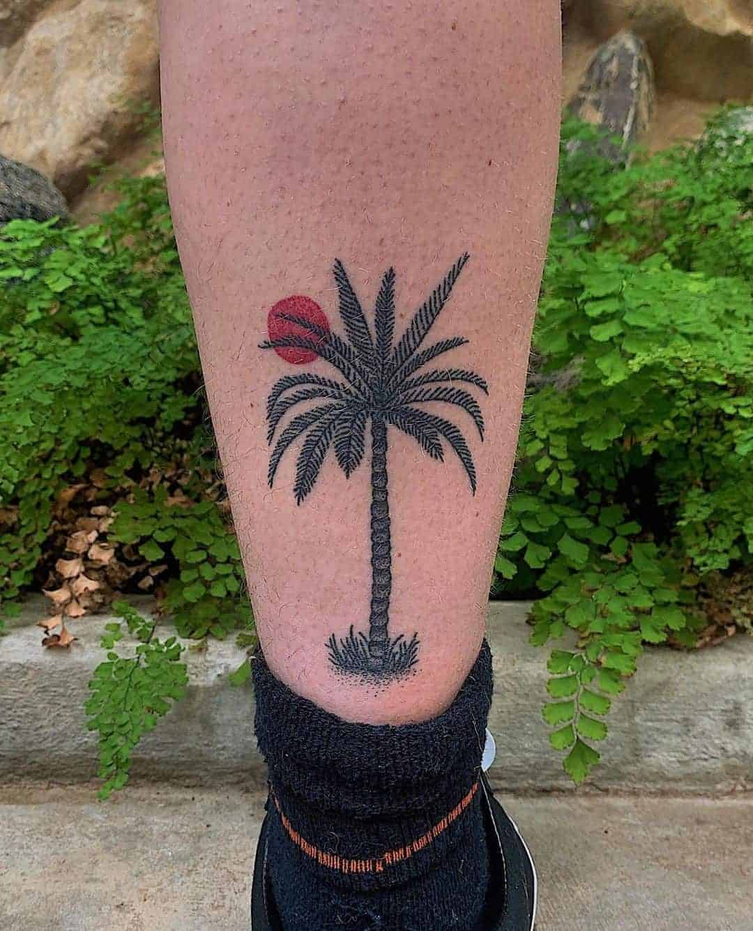 Palm Tree