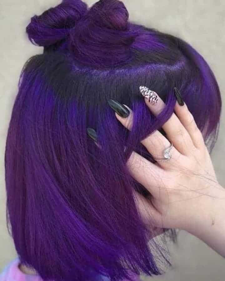 North Western Purple Pigtail Buns