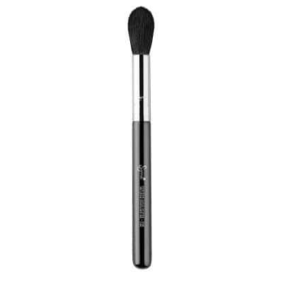 Pro-Favorite Blush Brush: Sigma Beauty F35 Tapered Highlighter Brush