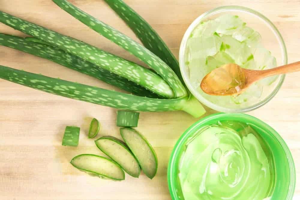 Your Full Guide to Aloe Vera Gel