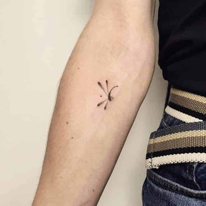 Tiny Dragonfly