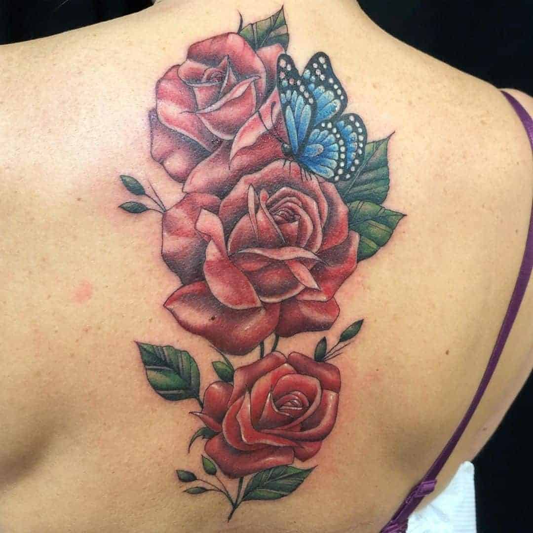 Butterfly and Roses