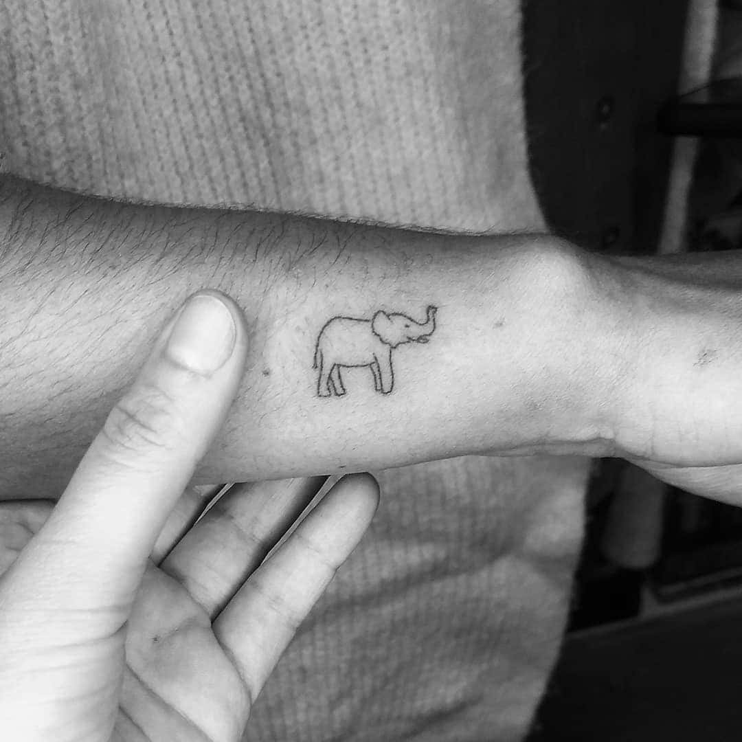 Tiny Elephant